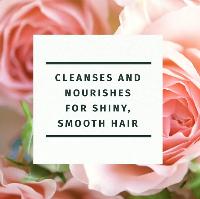 Herbal Extracts Cleanser and Moisturizer Set, Smooth with Vitamin E, Rose Hips, Jojoba, 29.2 Fl Oz, 2 Pack