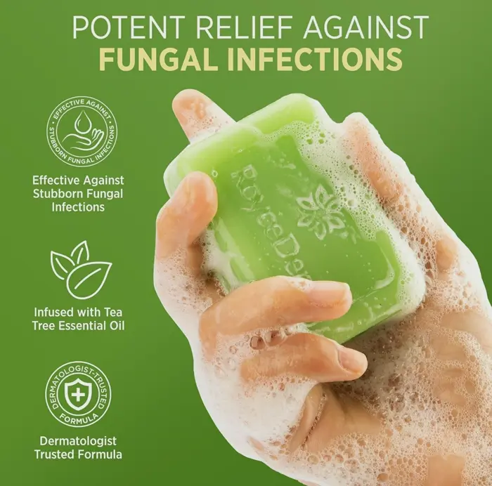 Roycederm Antifungal Tea Tree Cleanser: Face & Body Treatment